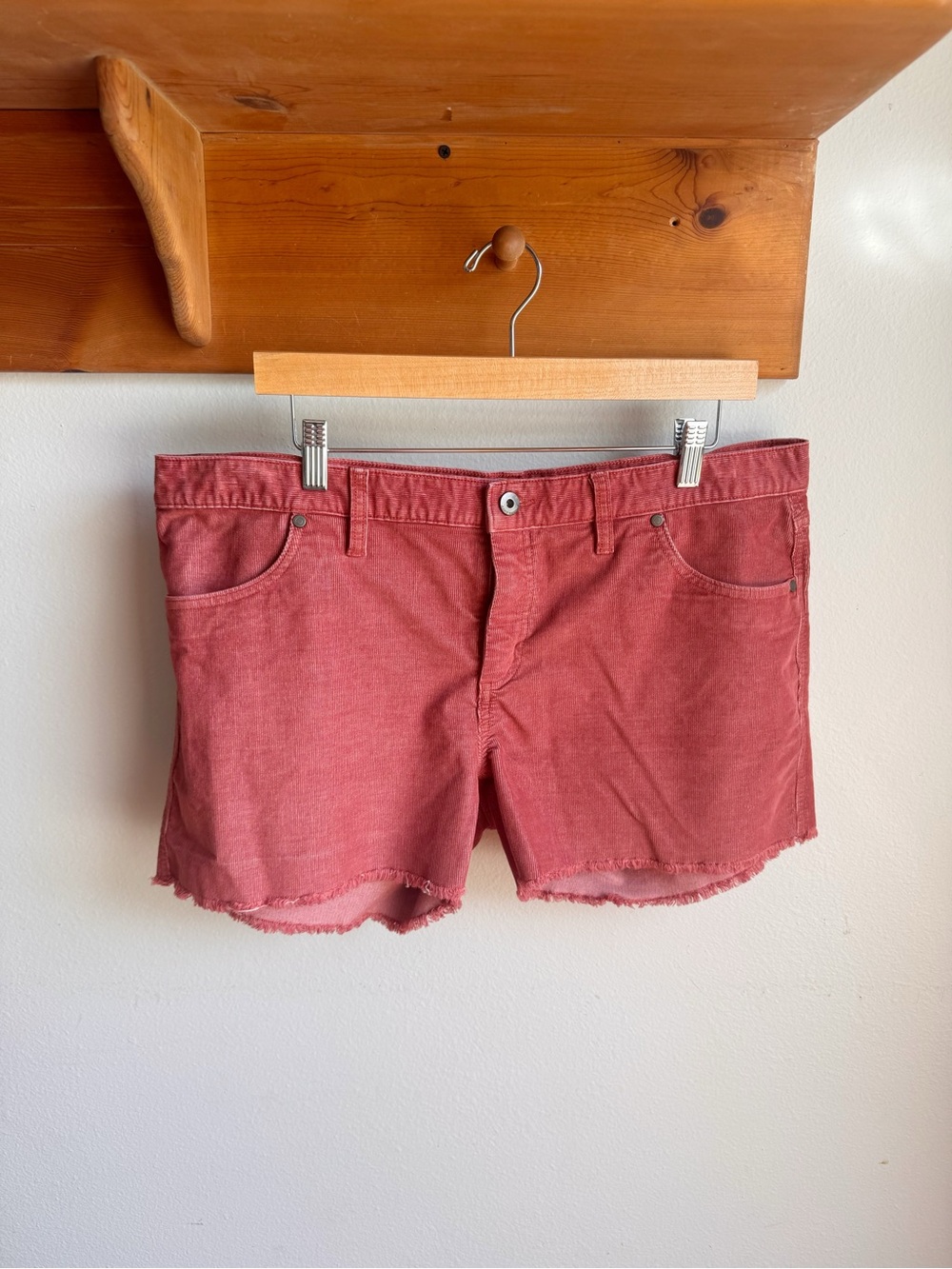 Carve Designs Women's Frayed Hem Jean Shorts